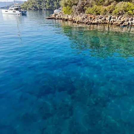 Blue Cruise In - Mavi Yolculuk Бозбурун